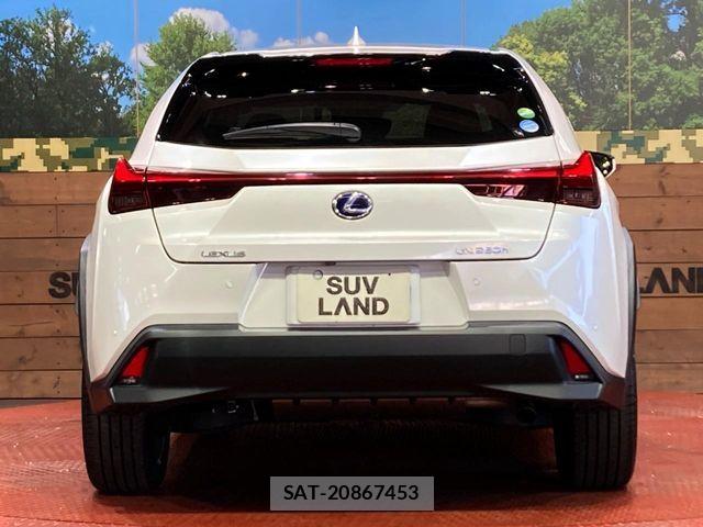 Lexus UX 2019-08 6995258-14