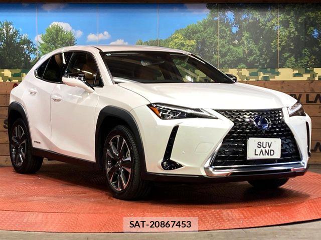 Lexus UX 2019-08 6995258-15