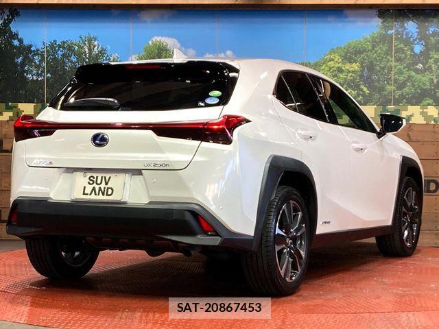Lexus UX 2019-08 6995258-16