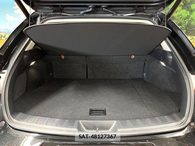 Lexus UX 2021-06 7020801-9