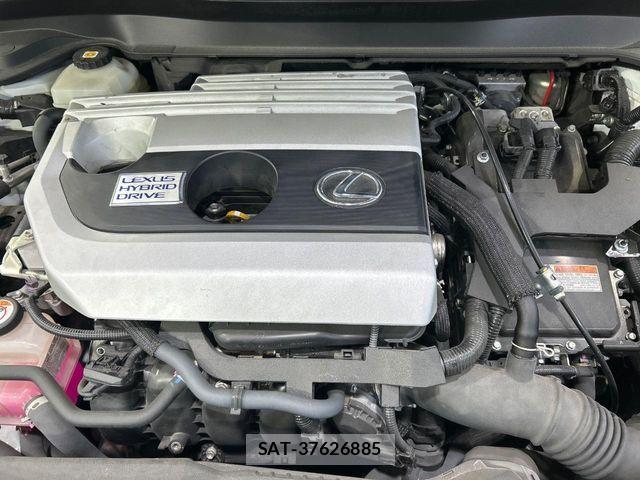 Lexus UX 2020-09 7020799-17