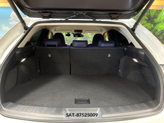 Lexus UX 2023-06 7020800-9