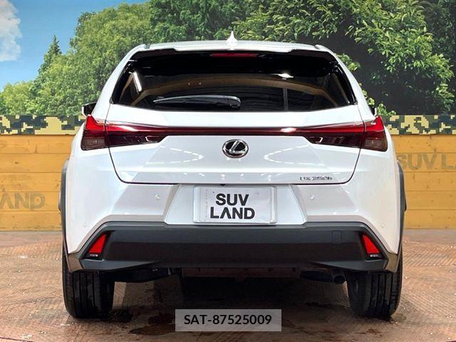 Lexus UX 2023-06 7020800-14