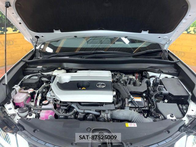Lexus UX 2023-06 7020800-17