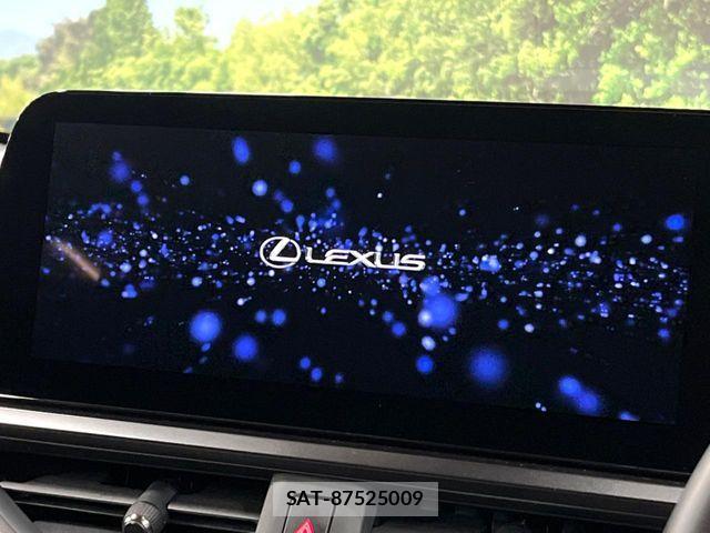 Lexus UX 2023-06 7020800-2