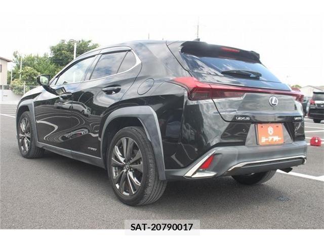 Lexus UX 2019-05 7221178-13