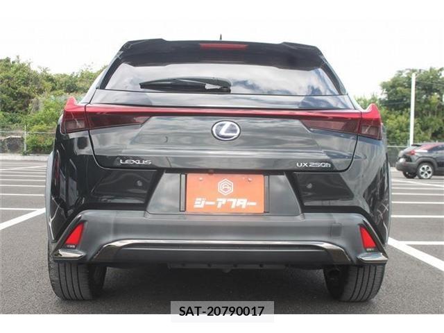 Lexus UX 2019-05 7221178-14