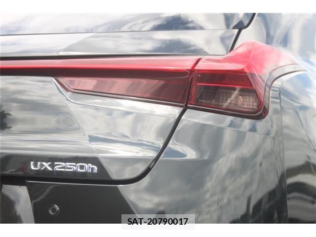 Lexus UX 2019-05 7221178-16
