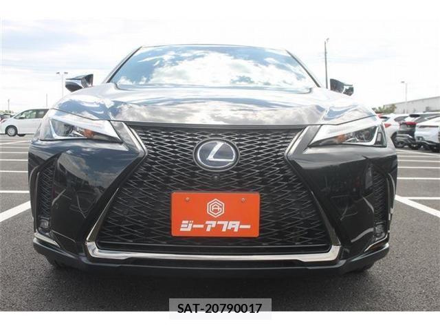 Lexus UX 2019-05 7221178-6