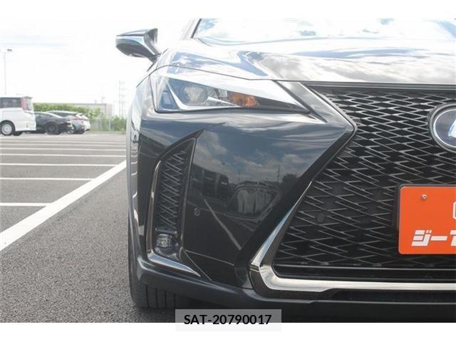 Lexus UX 2019-05 7221178-7