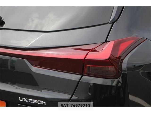 Lexus UX 2023-10 7221190-14