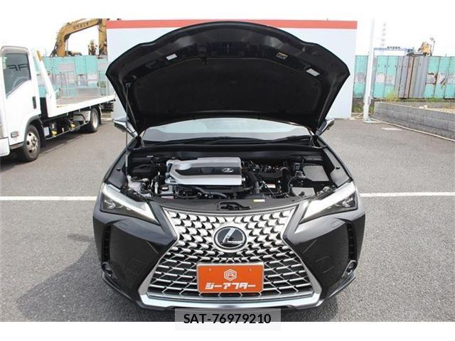 Lexus UX 2023-10 7221190-28