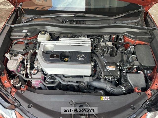 Lexus UX 2021-10 7221184-14