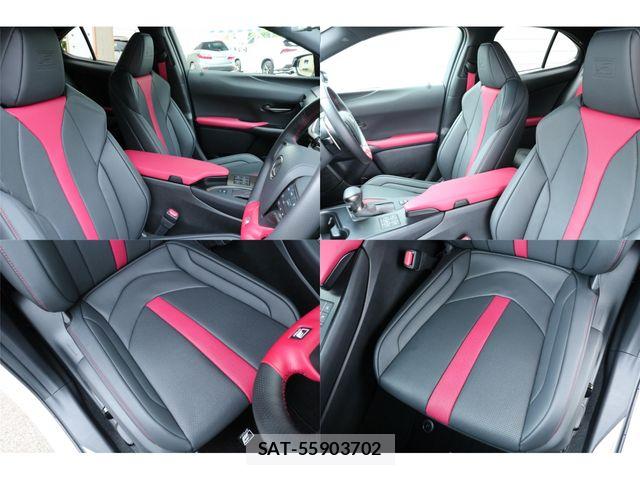 Lexus UX 2023-06 7221189-19