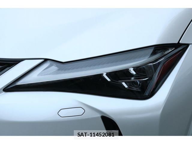 Lexus UX 2019-09 7221185-13