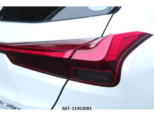 Lexus UX 2019-09 7221185-14