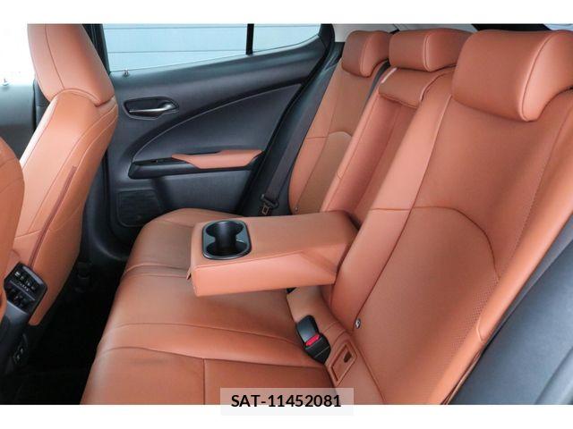 Lexus UX 2019-09 7221185-22