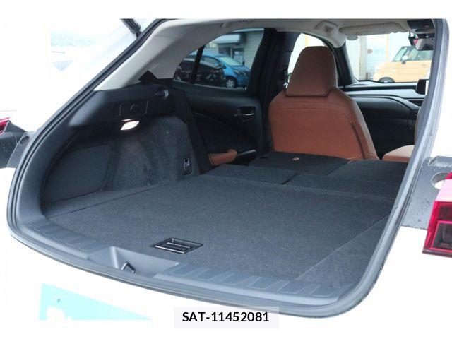 Lexus UX 2019-09 7221185-29