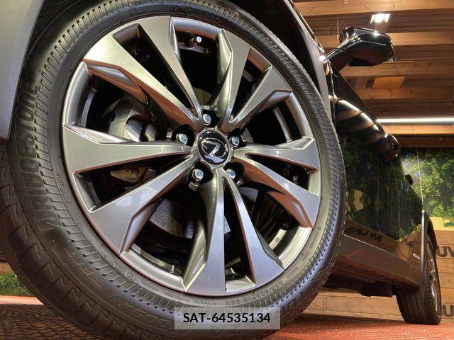 Lexus UX 2019-06 7221177-12