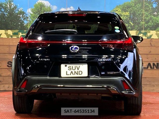Lexus UX 2019-06 7221177-14