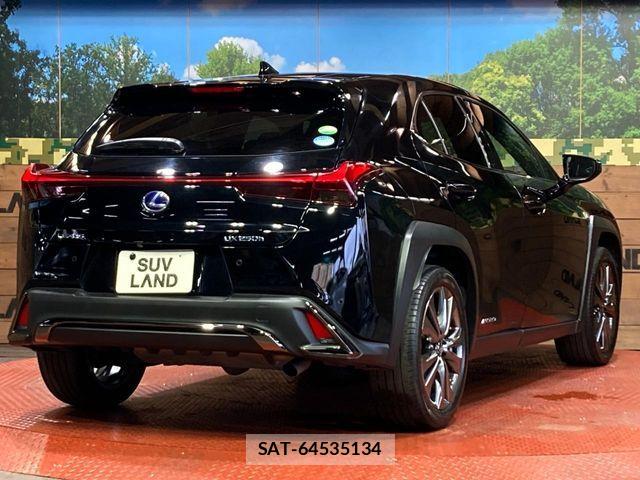 Lexus UX 2019-06 7221177-16