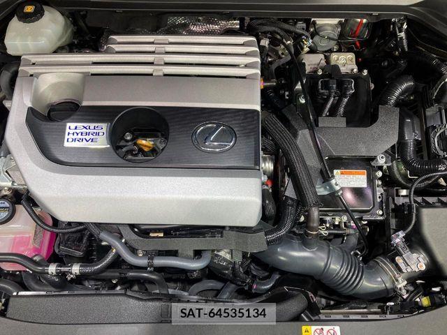 Lexus UX 2019-06 7221177-17
