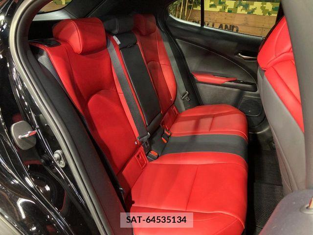 Lexus UX 2019-06 7221177-8