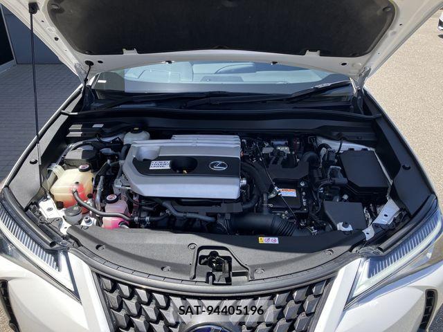 Lexus UX 2019-08 7251385-29