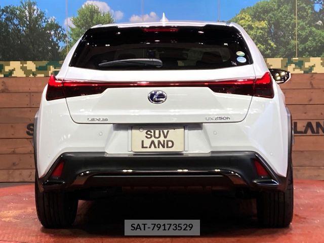 Lexus UX 2020-04 7251379-14