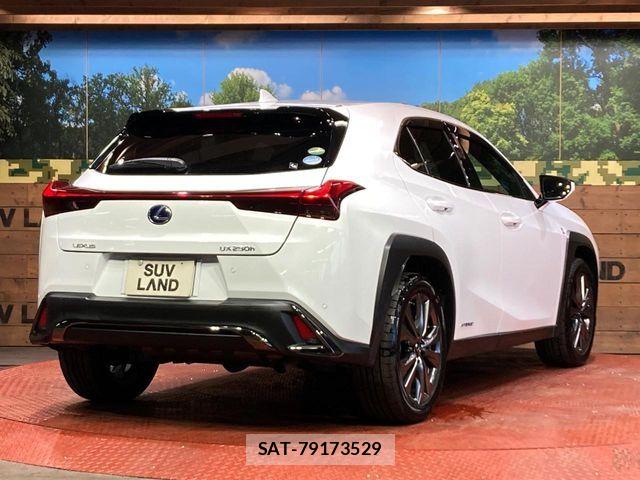 Lexus UX 2020-04 7251379-16