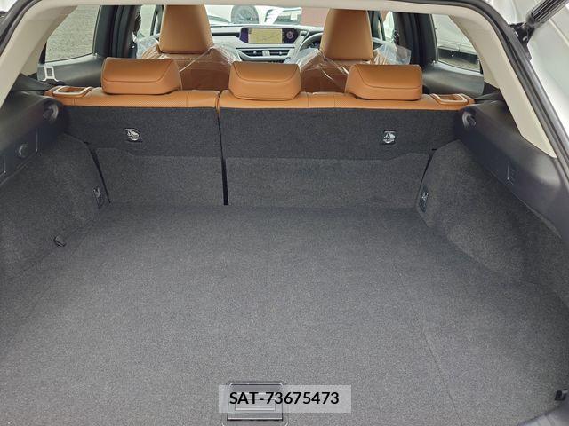 Lexus UX 2022-06 7272252-23