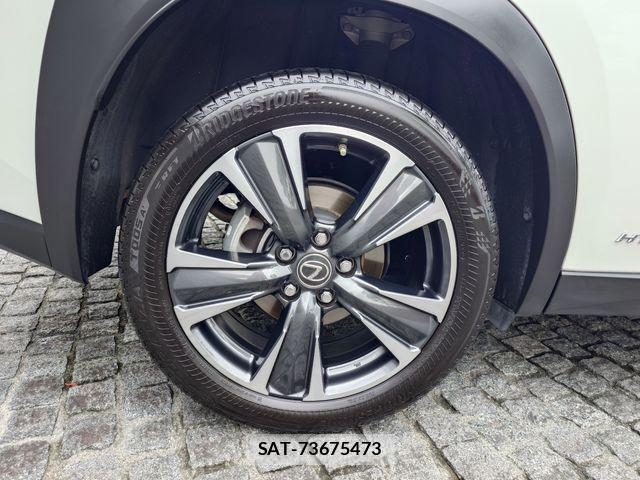 Lexus UX 2022-06 7272252-7