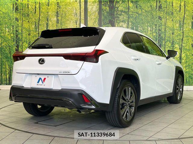Lexus UX 2023-05 7328120-16