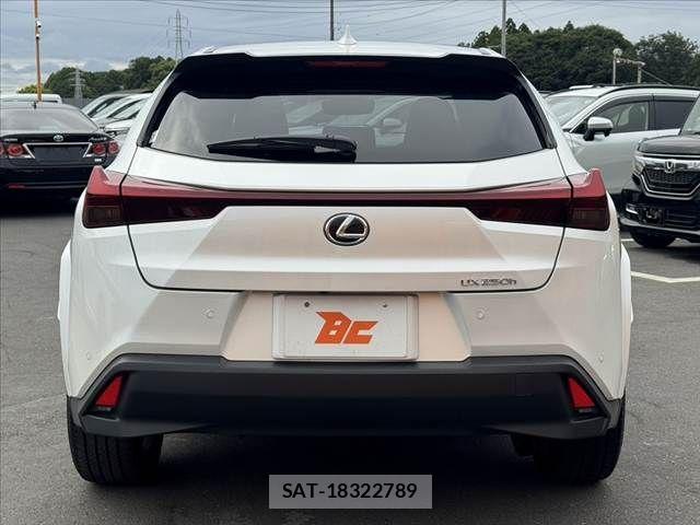 Lexus UX 2023-07 7328127-13