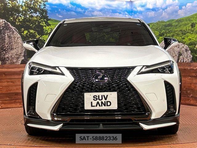 Lexus UX 2019-02 7328130-13