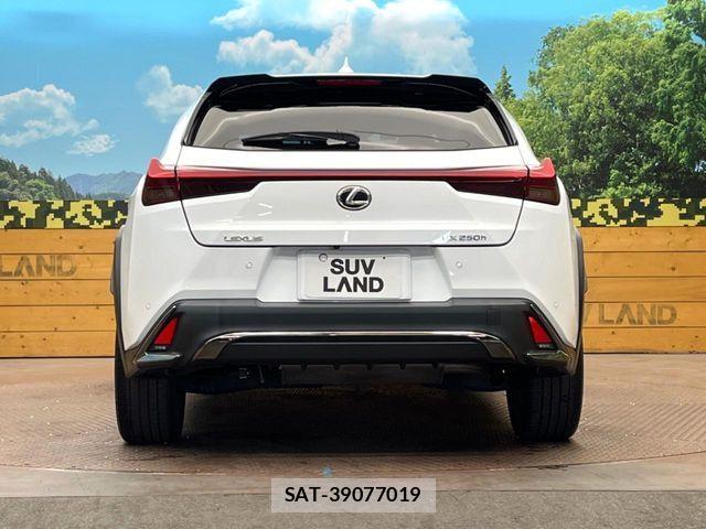Lexus UX 2019-11 7328129-14