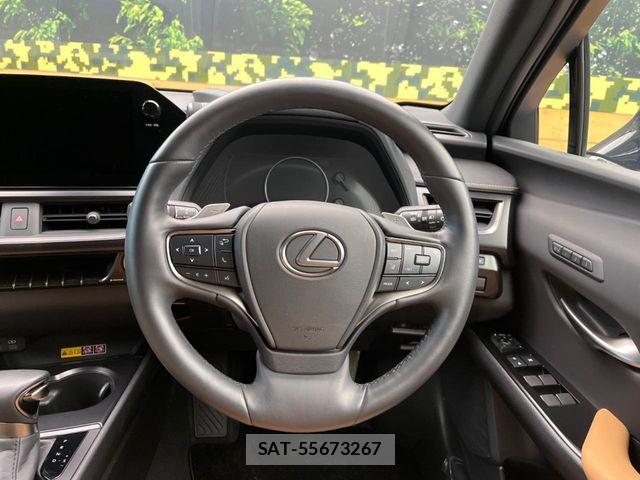 Lexus UX 2023-08 7328121-10