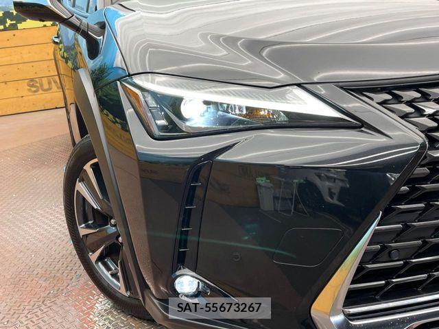 Lexus UX 2023-08 7328121-11
