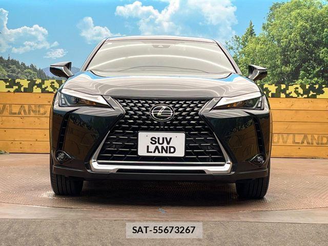 Lexus UX 2023-08 7328121-13