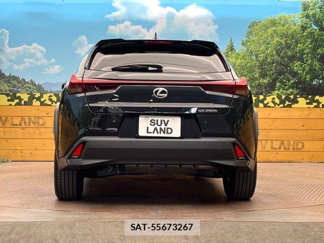 Lexus UX 2023-08 7328121-14