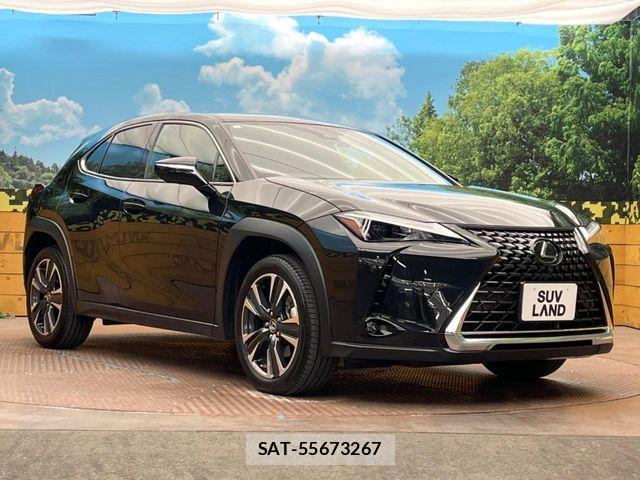 Lexus UX 2023-08 7328121-15