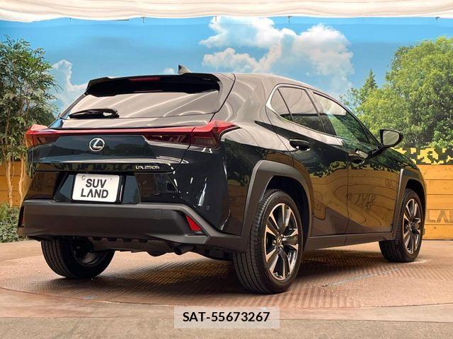 Lexus UX 2023-08 7328121-16