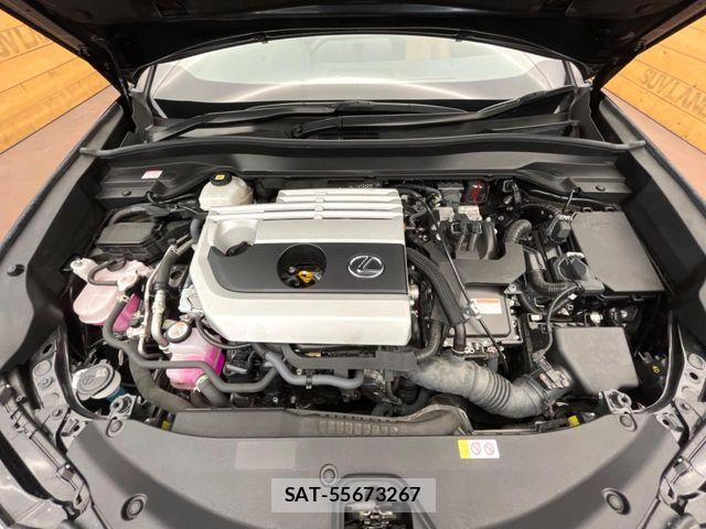Lexus UX 2023-08 7328121-17