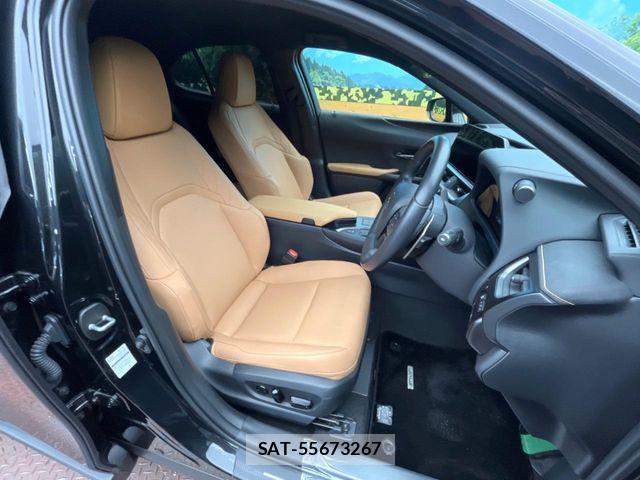 Lexus UX 2023-08 7328121-7