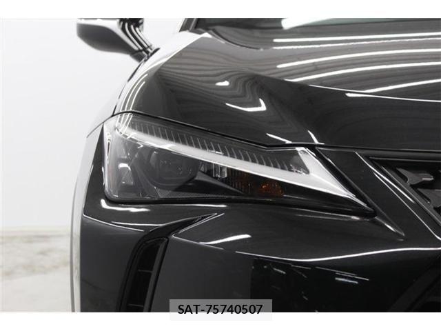 Lexus UX 2023-09 7392720-12