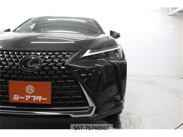 Lexus UX 2023-09 7392720-14