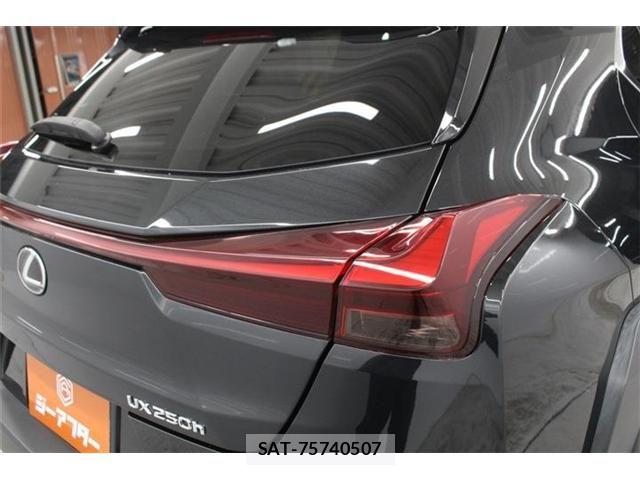 Lexus UX 2023-09 7392720-19