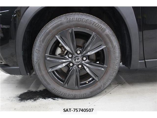 Lexus UX 2023-09 7392720-24