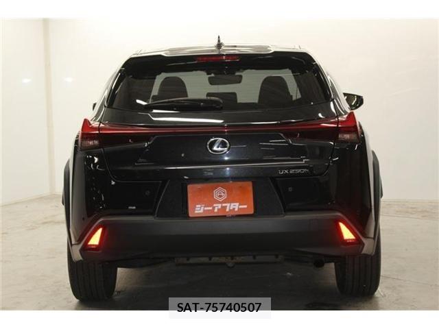 Lexus UX 2023-09 7392720-6