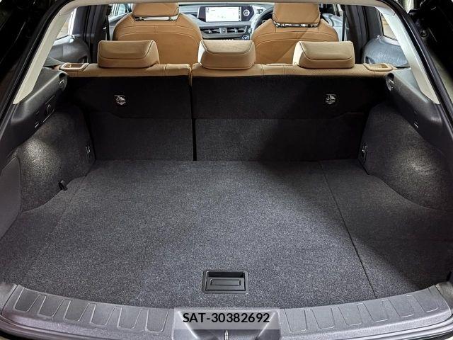 Lexus UX 2021-04 7455493-10